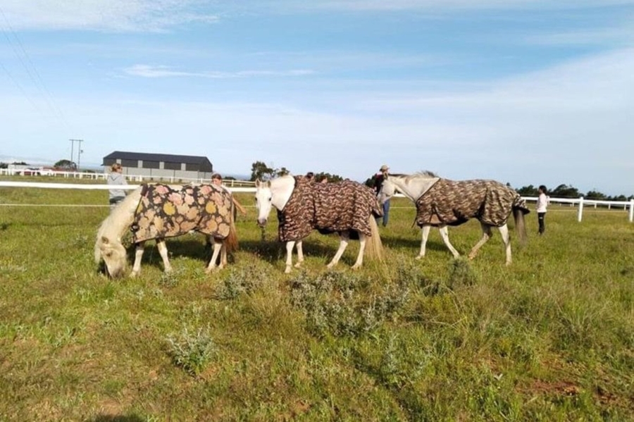 0 Bedroom Property for Sale in Kabeljauws Eastern Cape